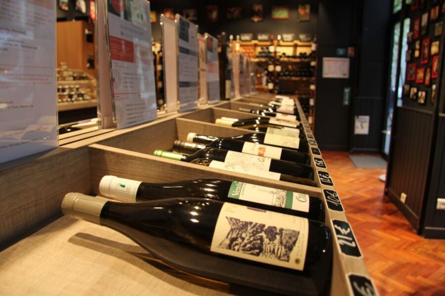 Paris: Wine and Cheese Tasting - Why terroir lessons actually make tasting easier