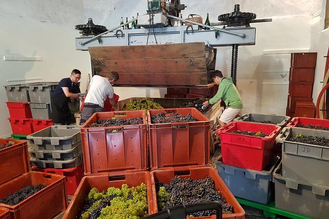 Paris Wine Day Tours exclusive Champagne tour incl. 3 visits - Champagne Day from Paris: What You’re Really Buying