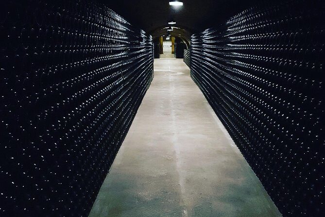 Paris Wine Day Tours exclusive Champagne tour incl. 3 visits - Who This Tour Fits Best (And When to Choose Something Different)
