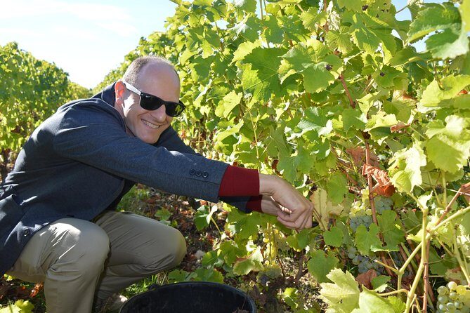 Paris Wine Day Tours exclusive Champagne tour incl. 3 visits - Epernay Cellars: Where the Process Gets Explained