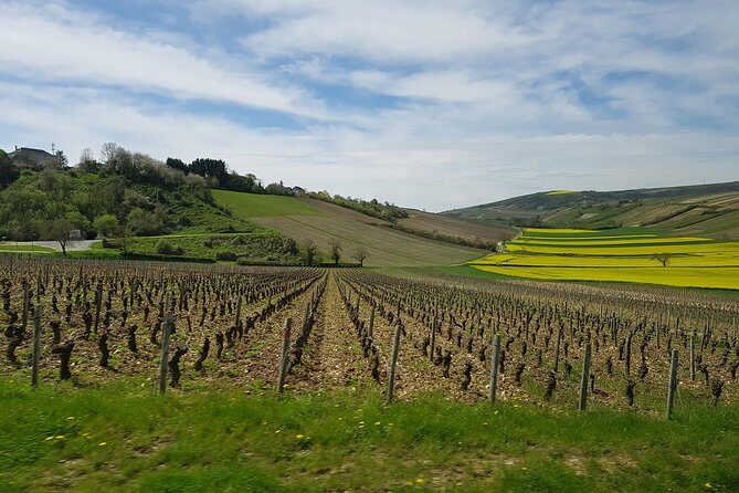 Paris Wine Day Tours exclusive wine tour in the Sancerre area - Key things that make this tour worth your time