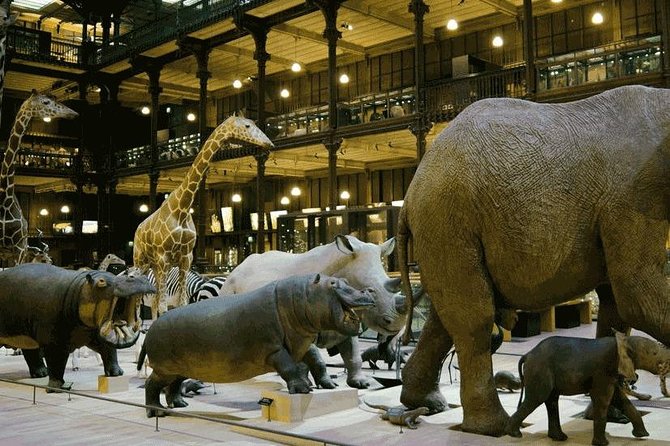 Paris With Kids - A Private Family Experience - Louvre time that respects kids: outside viewing plus WWII stories