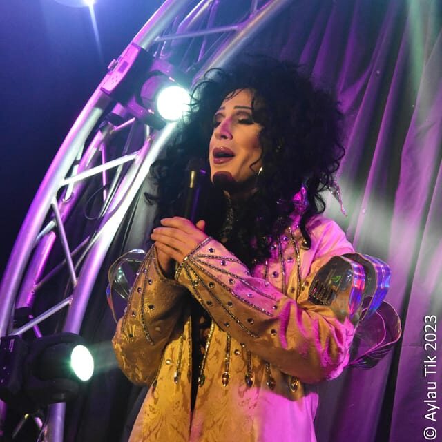 PRESTIGE DINER AND DRAG SHOW - Soirée 5, VIP, or Prestige: Picking the Right Dinner Level