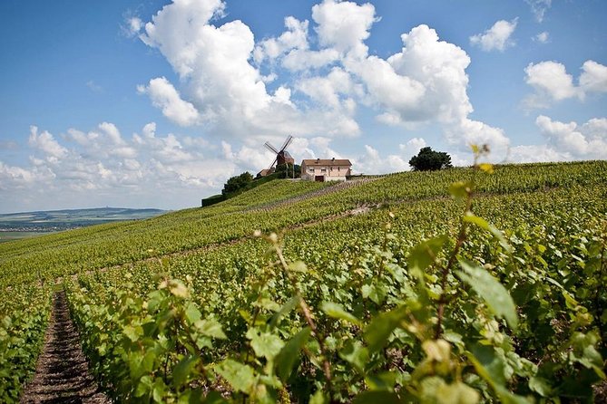 Private 10-hour round transfer to Champagne Epernay from Paris. Best offer! - Epernay first: the Champagne capital and a Moët-Mercier tasting-style intro