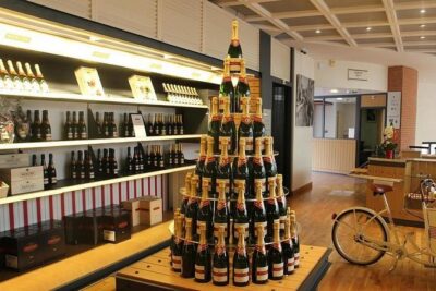Private 10-hour round transfer to Champagne Epernay from Paris. Best offer! - Price and logistics: what you pay for at $800.73 per group