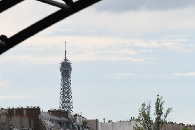 Private Boat Trip in Paris - Should you book the private boat trip in Paris?