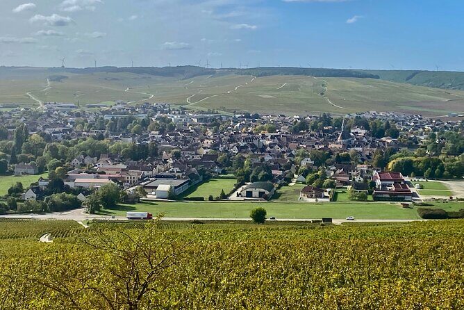 Private Burgundy 3 Domaines Chateau Pommard Chablis 15 Wines Trip - Sunday trips: what changes when Brocard and Régnard are closed