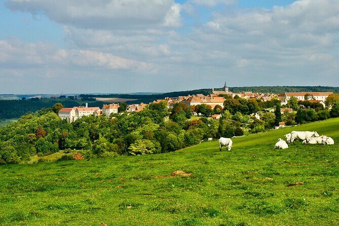 Private Burgundy 3 Domaines Chateau Pommard Chablis 15 Wines Trip - Who should book this Burgundy and Chablis day trip