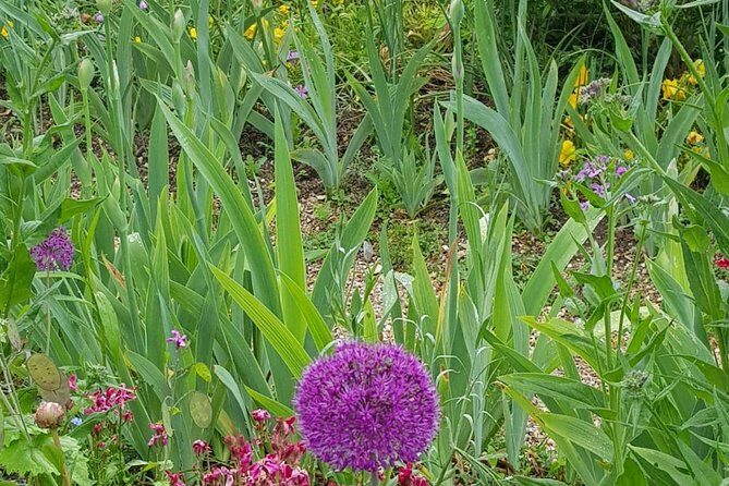 Private Car Trip to Giverny Garden from Paris - What happens at Giverny: two major Monet stops