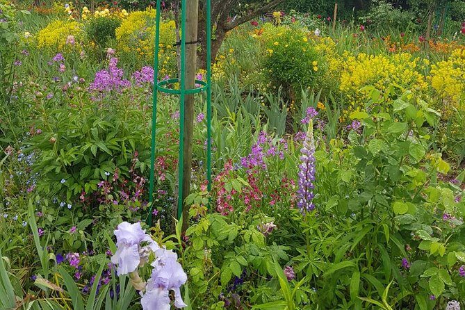 Private Car Trip to Giverny Garden from Paris - The driver: helpful, practical, and sometimes extra chatty