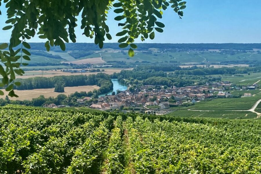 Private Champagne Ruinart, Moet Chandon VIP Tour by Mercedes - Reims Cathedral: A Crowned-By-Kings Stop