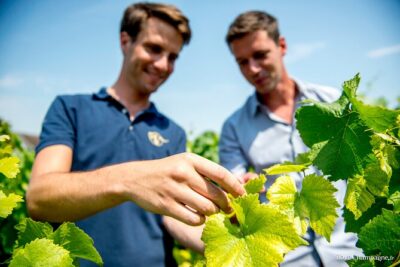 Private Champagne tour, family growers and lunch - Price and logistics: what you’re really paying for