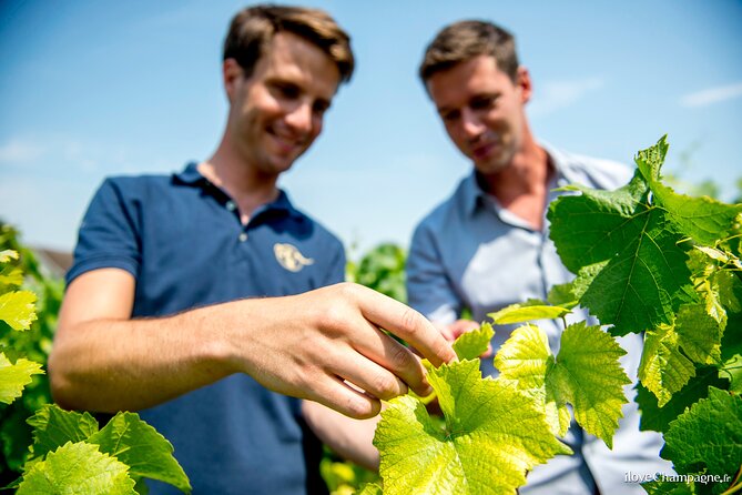 Private Champagne tour, family growers and lunch - Price and logistics: what you’re really paying for