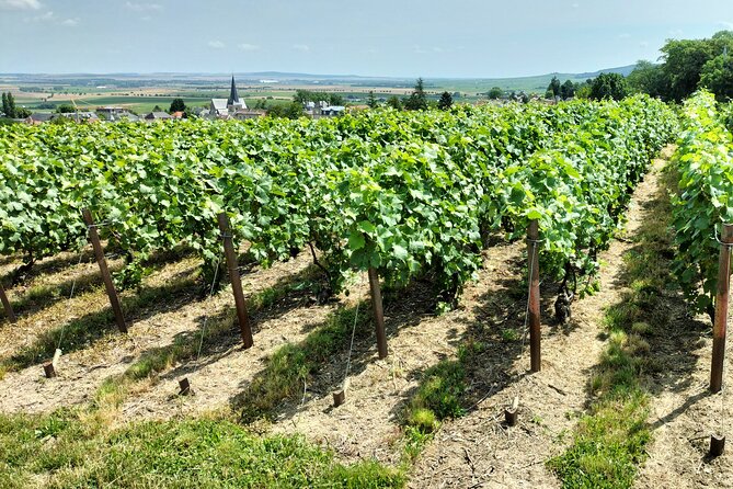 Private Champagne Tour Veuve Clicquot, Moet & Chandon from Reims - Hautvillers Abbey: Dom Pérignon’s burial site in a hillside village