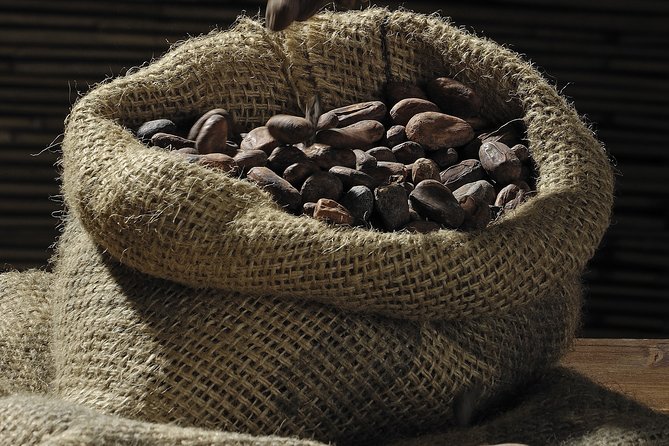 Private Dark Chocolate Tasting Tour in Paris - A guide like Boris makes the tasting click