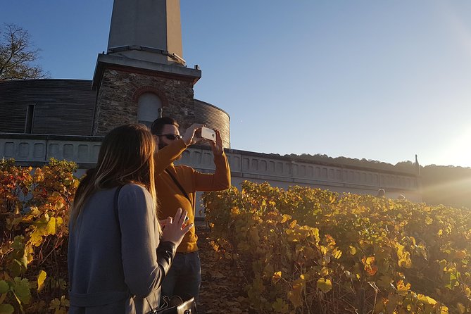 Private day tour in Champagne - A 7-hour private format that feels un-rushed