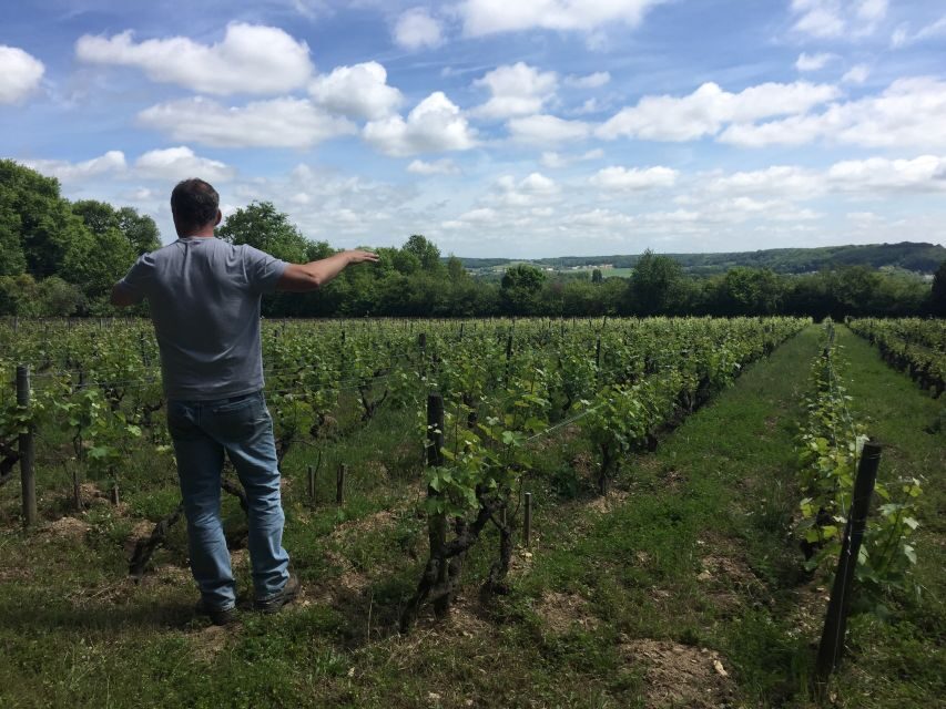 Private Day Tour to Loire Valley Castles & Wines from Paris - Vineyard Intro and the Vouvray Estate Lunch That Actually Teaches You