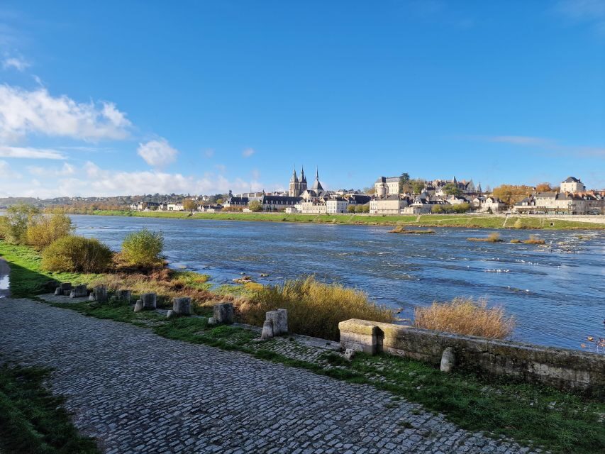 Private Day Tour to Loire Valley Castles & Wines from Paris - Timing, Pacing, and What to Pack for Wine Cellar Comfort