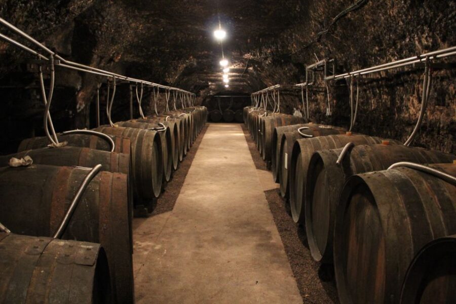 Private Day Tour to Loire Valley Castles & Wines from Paris - Who This Loire Tour Suits Best (And Who Should Rethink It)