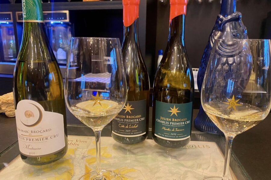Private Exquisite Red & White Burgundy Wines Trip from Paris - Key things to notice before you go