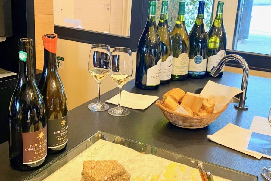 Private Exquisite Red & White Burgundy Wines Trip from Paris - Should you book this trip or choose a different style?