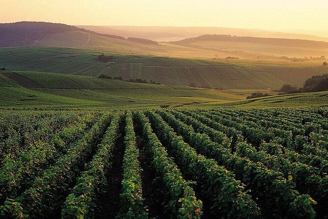 Private Full-Day Tour of Champagne Region - Key highlights that matter on this Champagne route