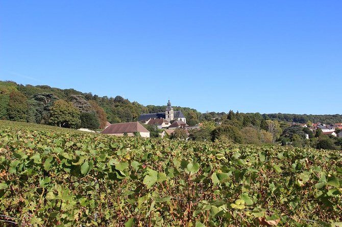 Private Full-Day Tour of Champagne Region - Private Champagne Region Day: what you’re really paying for