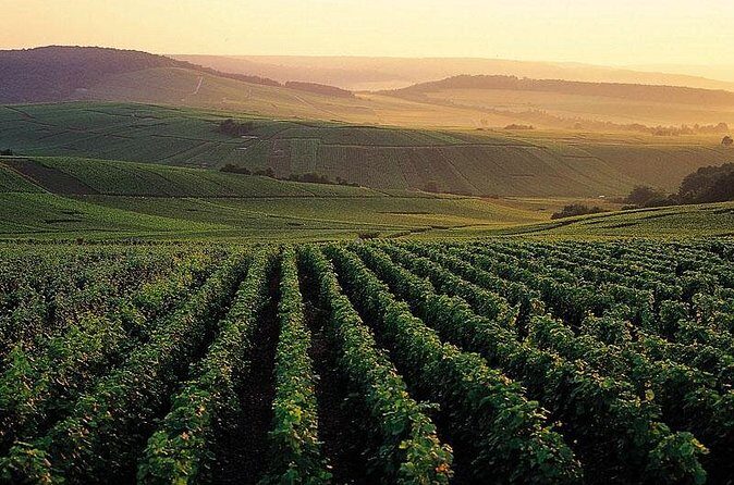 Private Full-Day Tour of Champagne Region - Tastings: what’s included and how to get better results from every pour