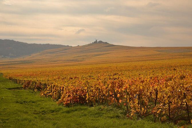 Private Full-Day Tour of Champagne Region - The lunch slot in Reims: manage your energy for the final tasting