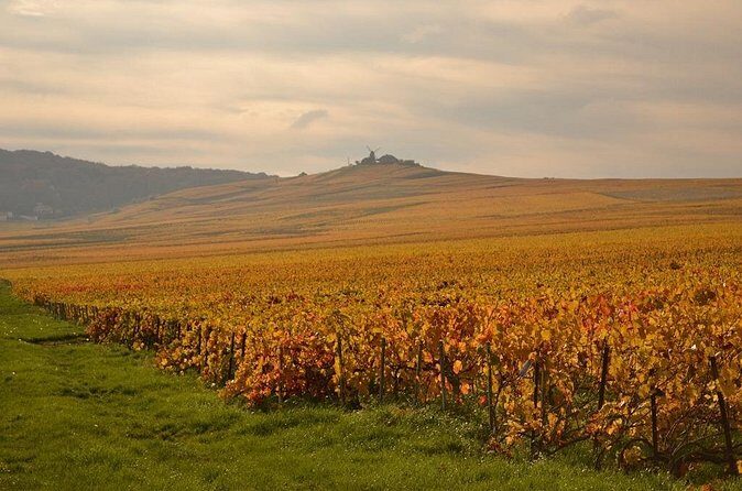 Private Full-Day Tour of Champagne Region - Comfort and logistics that matter on a 10–11 hour day