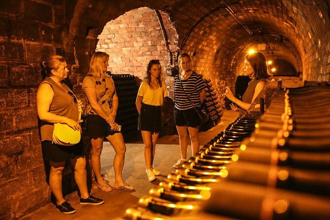 Private Full Day Tour - Visit of 3 Champagne Growers from Reims. - Avenue de Champagne drive and Epernay time after lunch