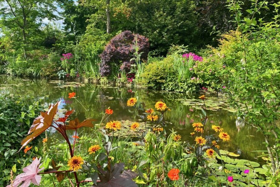 Private Giverny Monet’s House & Gardens Trip from Paris - Giverny Village Free Time: Lunch, Cafés, and a Low-Stress Walk