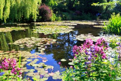 Private Giverny Roundtrip and Entrance Ticket from Paris - Timing in Giverny: Early Photos and a Calm Pace