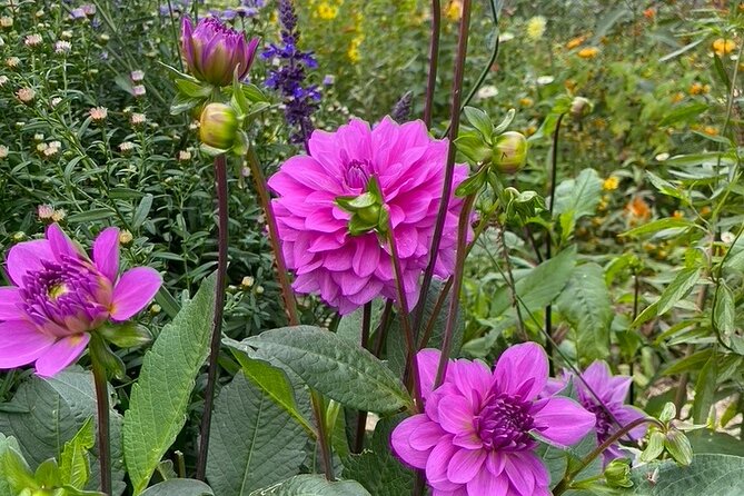 Private Giverny Roundtrip and Entrance Ticket from Paris - Value for the Price: Is $907.58 Actually Worth It?