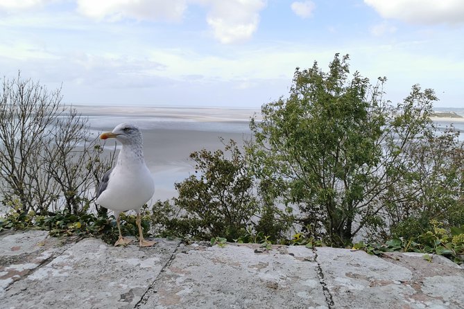 Private Guided Day Tour of Mont St-Michel from Paris - Price and Value: What You’re Really Paying For