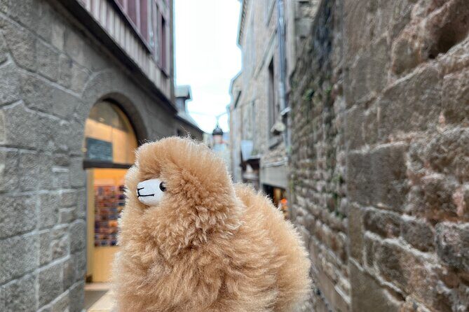 Private Guided Mont Saint Michel & D-day tour from Paris - Communication and Quality Control: How to Get What You Paid For