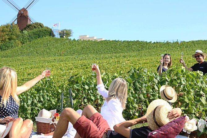 Private Guided Tour in Champagne from Paris with Moet&Chandon visit. - Chatillon-sur-Marne: the sixth-generation independent winemaker stop