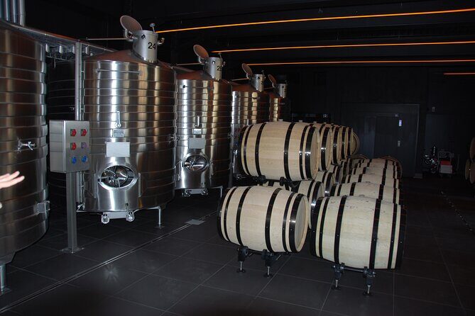 Private Guided Tour in Champagne from Paris with Moet&Chandon visit. - Epernay and Avenue de Champagne: the famous names, explained in context