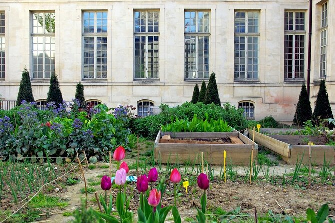 Private Half Day Historic Tour - Le Marais and Rue des Rosiers: Window Shopping With Real Context