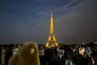 Private Paris City Night Sightseeing Tour - Champs-Élysées at Night: Postcard Avenue, Real-World Photos