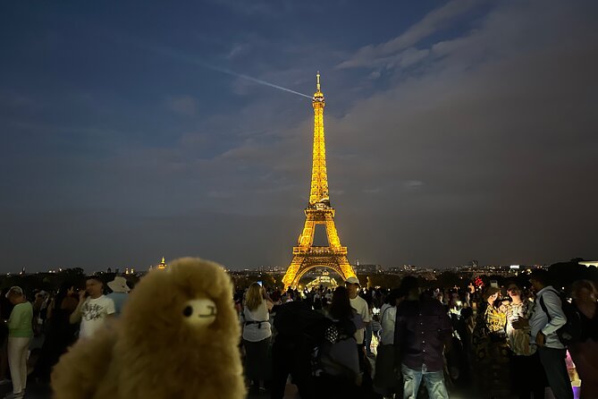 Private Paris City Night Sightseeing Tour - Champs-Élysées at Night: Postcard Avenue, Real-World Photos