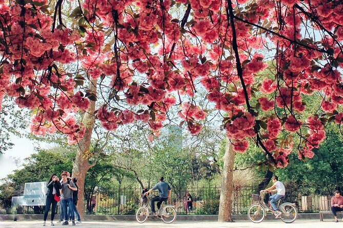 Private Photo Tour in Paris with a Professional Photographer - Who This Private Paris Photo Tour Is Best For
