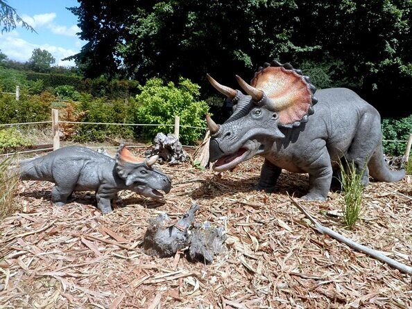 Private Return Transfer Thoiry Zoo Safari from Paris - Key highlights at Thoiry, without the guesswork