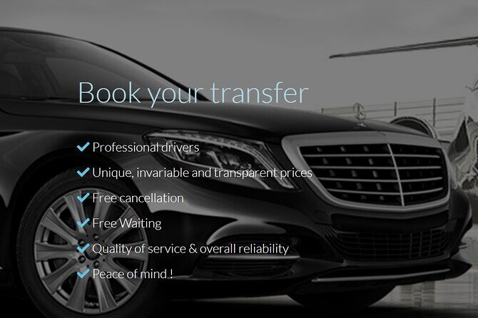 Private round trip transfer from/to PARIS <=> DISNEYLAND - The ride itself: air-conditioning, WiFi, water, and space for bags