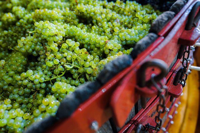 Private tour of the Champagne area, meet local producers and taste their Champagne, start from your hotel in Paris. - Price and Value: Is $1,003.22 Per Person Worth It?