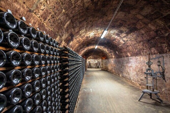 Private tour of the Champagne area, meet local producers and taste their Champagne, start from your hotel in Paris. - Weather, Cellar Cold, and Day-Of Realities You Should Plan For