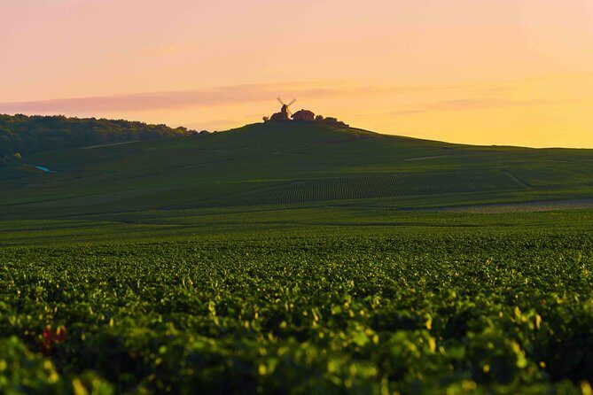 Private tour of the Champagne area, meet local producers and taste their Champagne, start from your hotel in Paris. - Champagne Countryside Break: Vineyard Walk Time Between Tastings