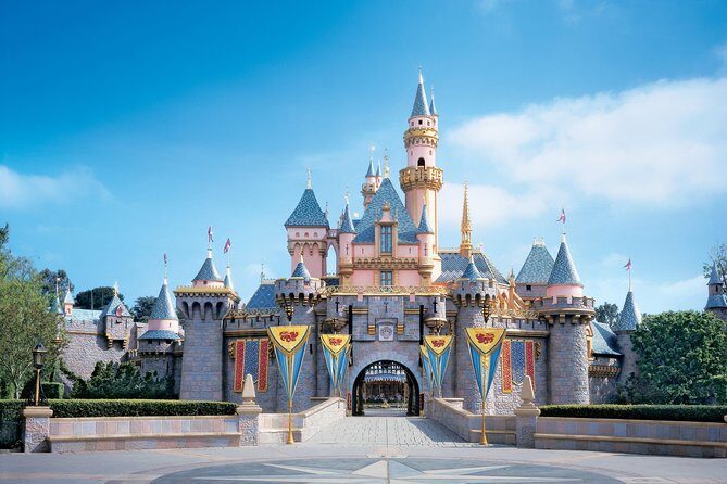 Private Transfer: Disneyland Park or Hotel to Paris by Luxury Van - Private Luxury Van From Disneyland Paris to Paris City