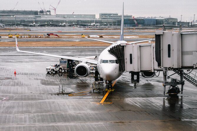 Private Transfer from Paris to CDG and Orly Airport - Not Included: The One Thing You’ll Still Need to Plan