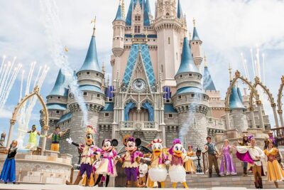Private Transfer from Paris to Disneyland (One way) - The Ride: Air-Conditioned Comfort and a Faster Route to Disney